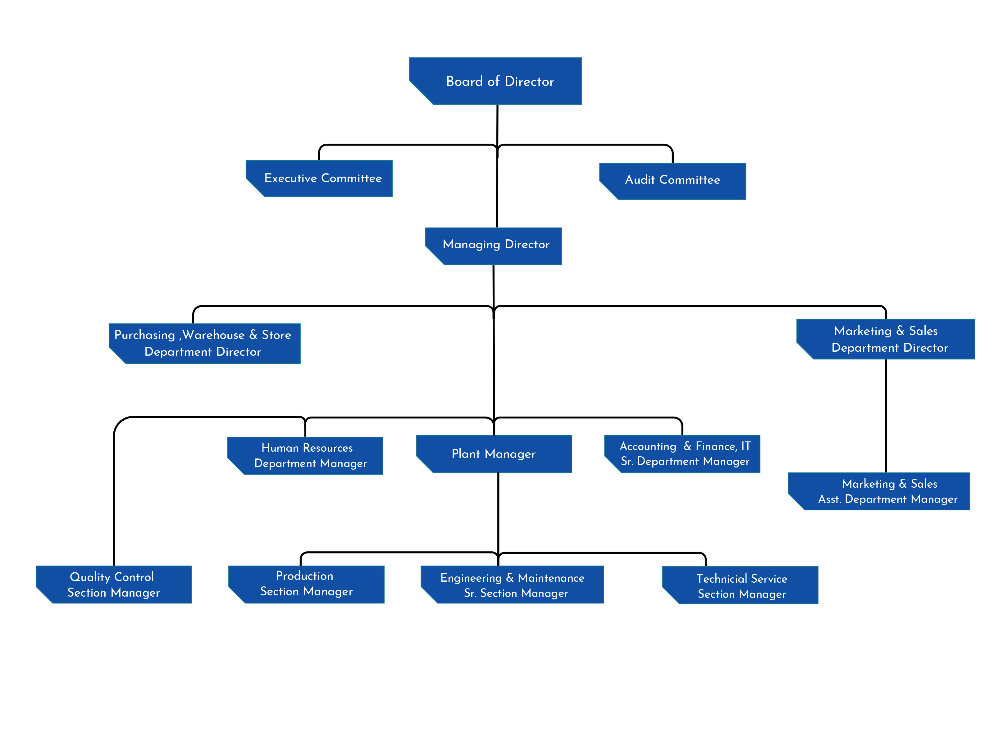 Thai Wire Products organization chart