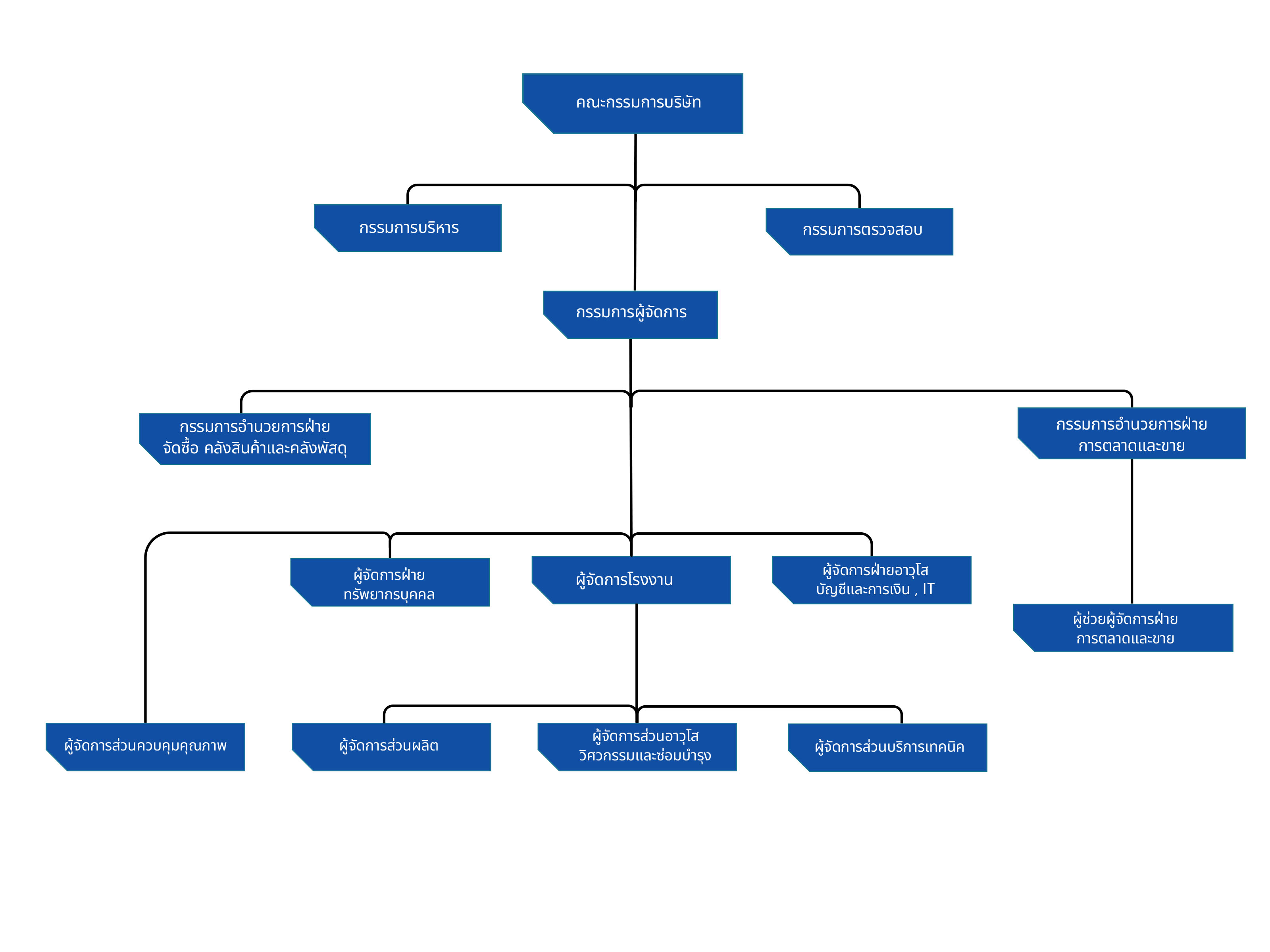 Thai Wire Products organization chart