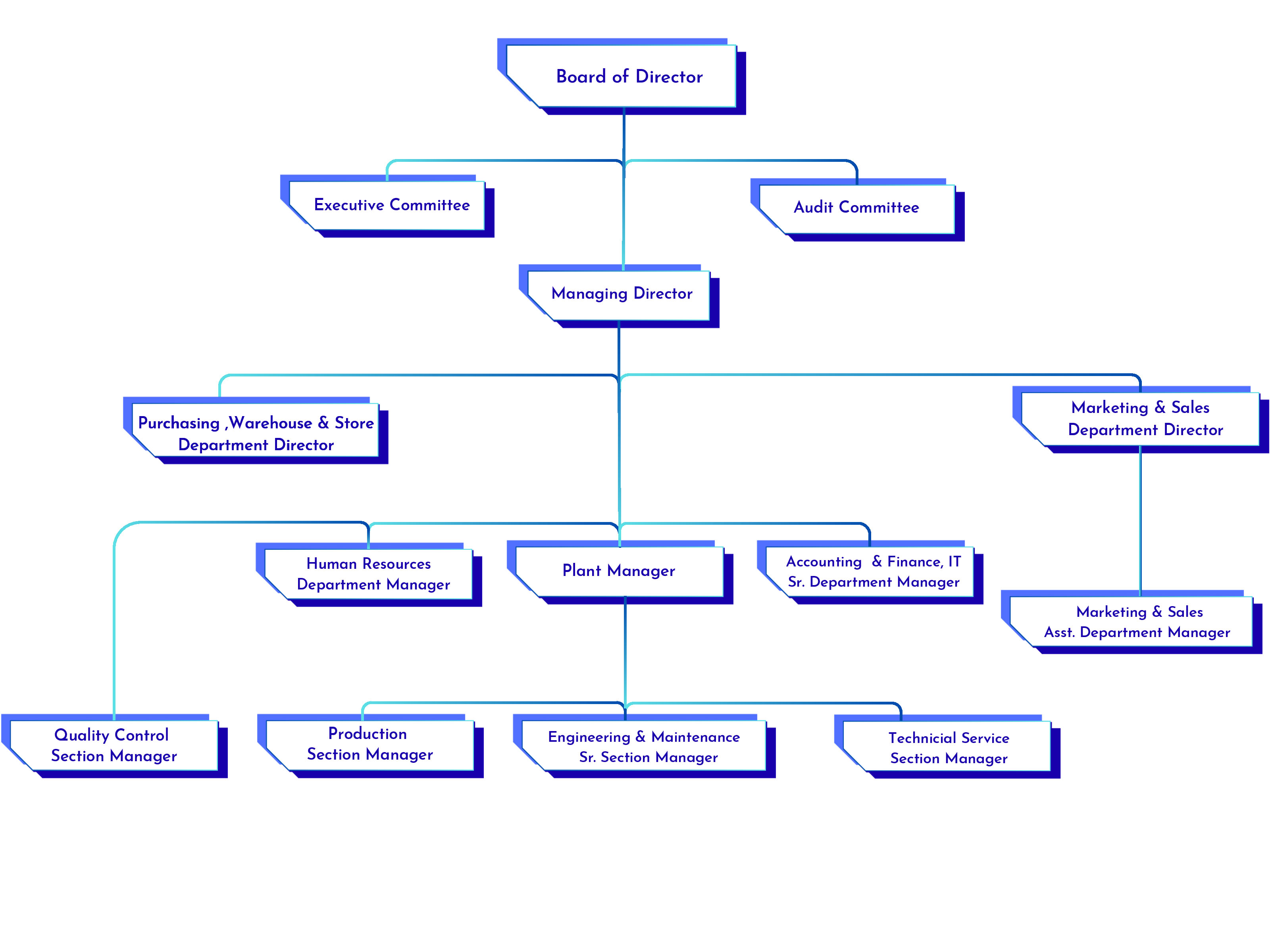 Thai Wire Products Organization Chart (English)